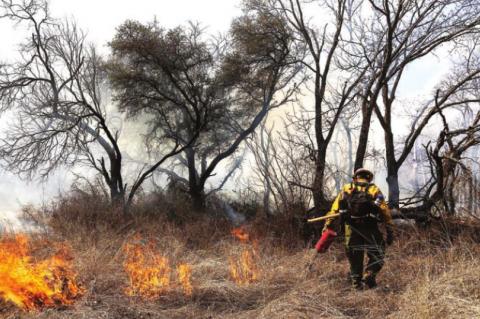 Texas A&M Forest Service promotes prescribed fire benefits through grants