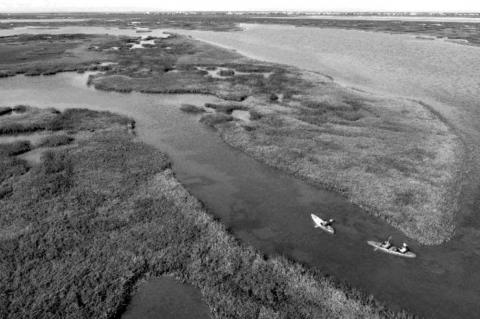 LCRA protects 934 acres of Matagorda wetlands from future development