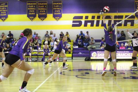Ladycats win in hotly contested matchup