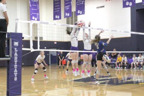 Ladycats use balanced effort to defeat Louise