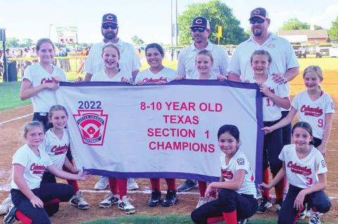 Columbus Little Leaguers moving on to State