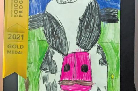 Raiders shine in HLSR art competition
