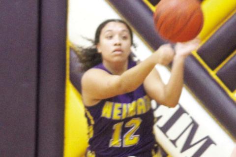 Ladycats drop back-to-back district games