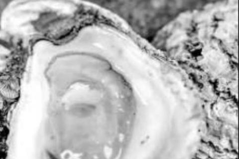Texas oyster season opens Nov. 1 with multiple closings