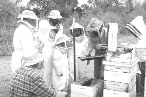Beekeeping: An educational family experience