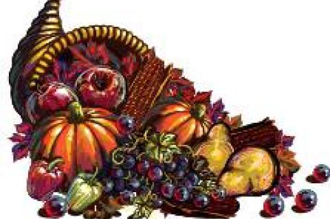 Thanksgiving holiday closings