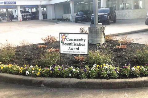 COMMUNITY BEAUTIFICATION FOR MARCH