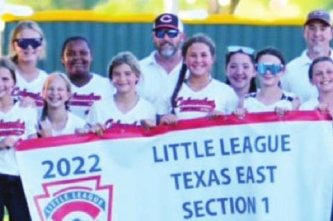 Columbus Little Leaguers moving on to State