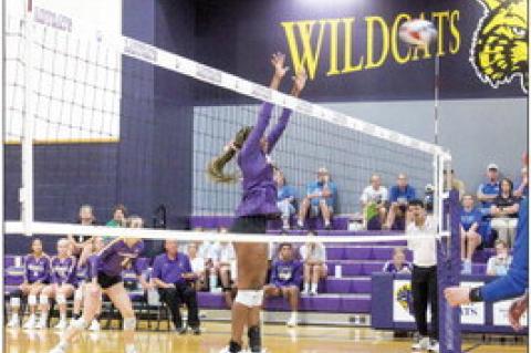 Ladycats sweep two opponents in a row