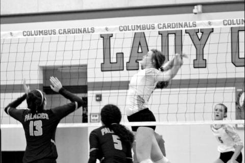 Sharks fall to Lady Cardinals in three sets