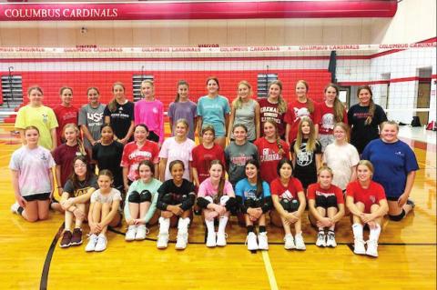 LADY CARDS OF THE FUTURE