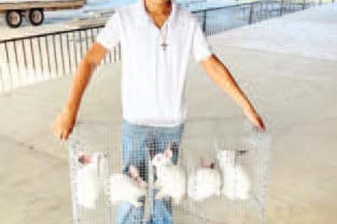 Carlos Arizpe, Jr., shows off his bunnies at the Colorado County Fair tag in.
