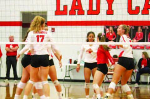 Lady Cards continue to roll against Tidehaven