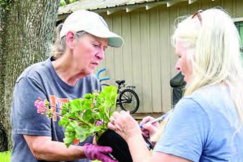Columbus Garden Club had a very busy month
