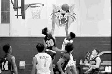 Wildcat basketball recap