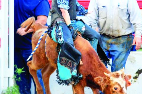 Brave youth bullrider bucks fear to reach rodeo royalty