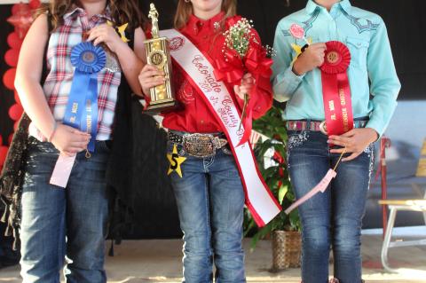 Top contestants in the 2019 Junior Miss Colorado County Fair contest were, from left - first runner up Mylee Moffett, Junior Miss Colorado County Savannah Petrosky and second runner up Mariah Coufal.