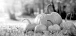 DIY fall season décor, recipes with pumpkins
