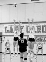 Sharks fall to Lady Cardinals in three sets