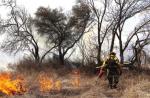 Texas A&M Forest Service promotes prescribed fire benefits through grants