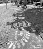 Chalk art brightens the neighborhood during COVID-19 closures