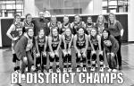Lady cats are Bi-DIstrict Champs