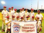 Little League Junior boys win state tournament