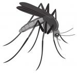 June 21-27 is Mosquito Awareness Week