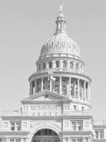 Young appointed to Texas Supreme Court
