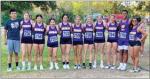 Weimar High cross-country girls take third place