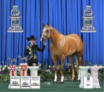 Savannah Petrosky stands tall with her winning horse, An Heiress to Gold (Delta) 